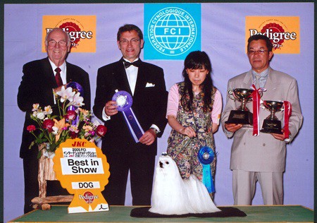 Asia Int BIS, #1Maltese,M.BIS & BISS, Int.Ch, Ch. Oono